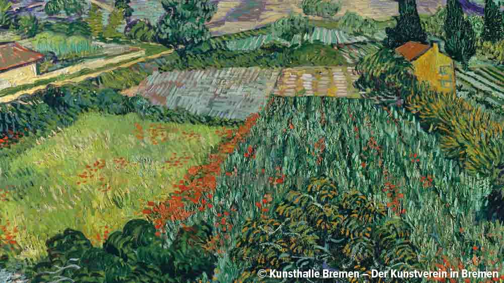 Vincent van Gogh, Mohnfeld
